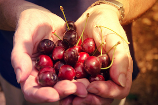 Cherry picking